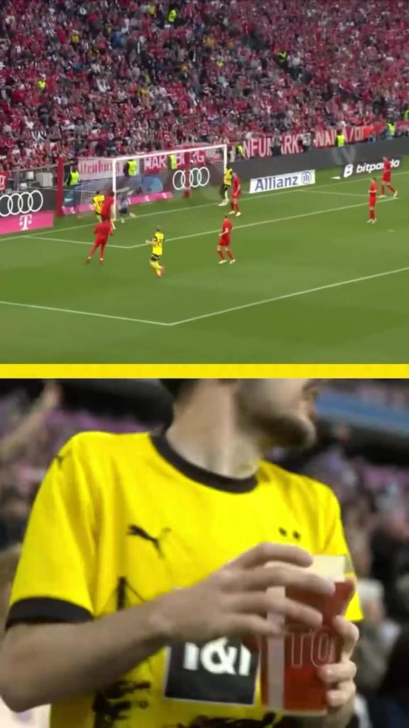 勇者無(wú)懼！這是真多特球迷！在拜仁球迷區(qū)一個(gè)人肆意慶祝！